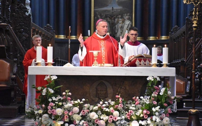 Jubileusz Pocieszenia