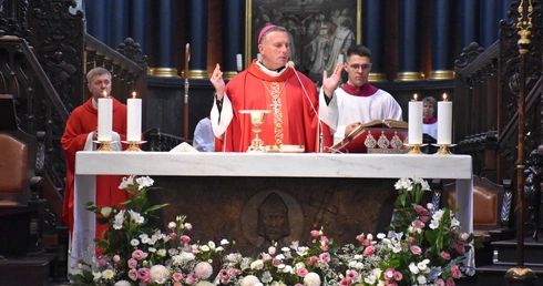 Jubileusz Pocieszenia