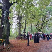 Krucyfiks na Lipkach poświęcony