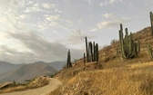 Peru