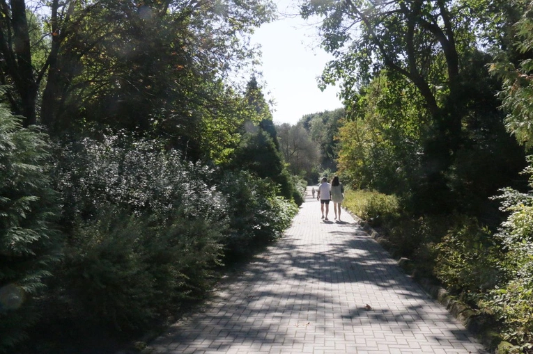 Ogród Botaniczny UMCS