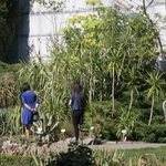 Ogród Botaniczny UMCS