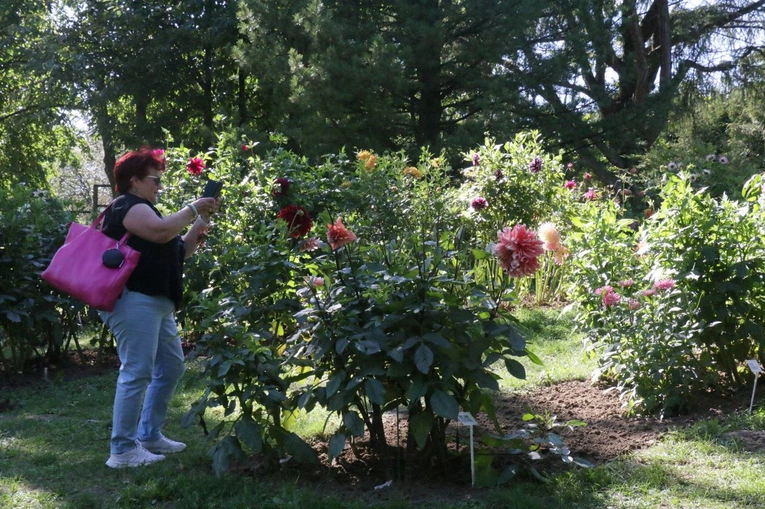 Ogród Botaniczny UMCS