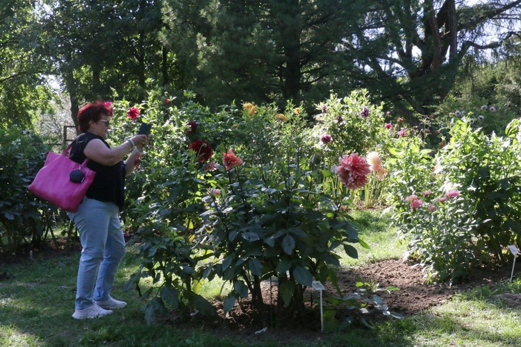 Ogród Botaniczny UMCS