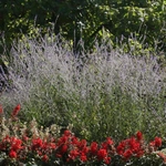 Ogród Botaniczny UMCS