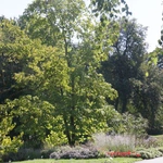 Ogród Botaniczny UMCS