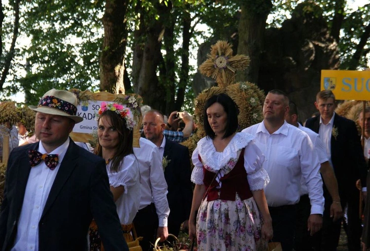 Dożynki Diecezjalne 2025