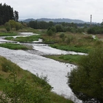 Między lasami