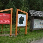 Między lasami