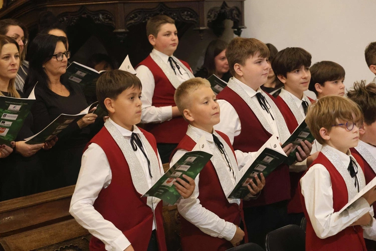 Sacra Ecclesiae Cantio