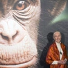 W wieku 91 lat zmarła Jane Goodall, przełomowa badaczka i obrończyni przyrody