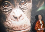 W wieku 91 lat zmarła Jane Goodall, światowej sławy badaczka szympansów
