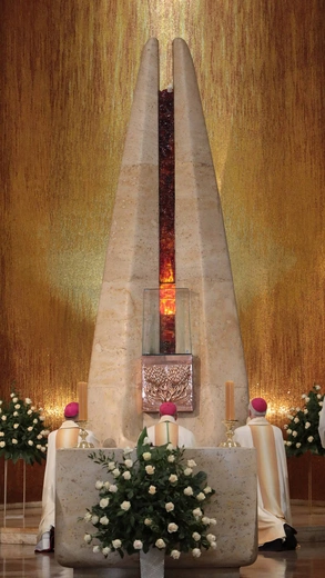 Ingres abp. Andrzeja Przybylskiego do katowickiej archikatedry, cz. 1