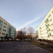 Na osiedlu