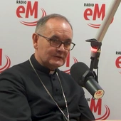 Abp Andrzej Przybylski: Kościół ma być Arką i szpitalem. Miejscem, do którego każdy może wejść
