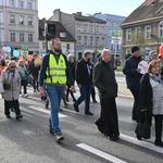 Marsz dla Życia i Rodziny w Opolu