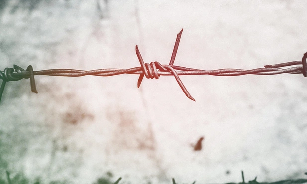 Wolność słowa? Roźnie liczba tematów z jej zajresu wykluczonych