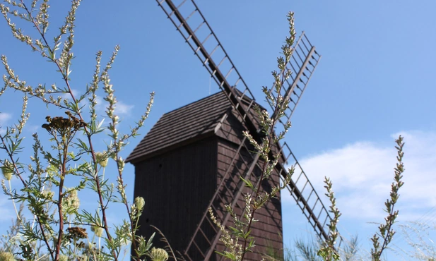 Opowieść odnawialna