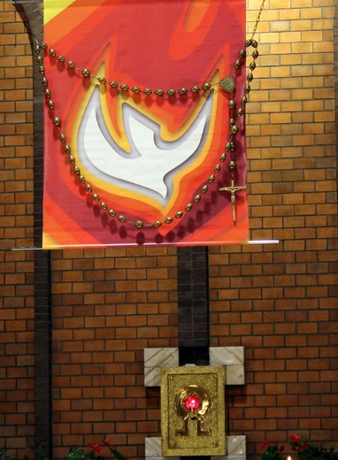 Jubileusz ruchów, wspólnot i stowarzyszeń  