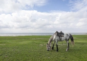 Kazachstan