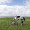 Kazachstan