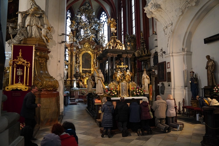 Pielgrzymka chorych, a także uczniów szkoły imienia św. Jadwigi u swojej patronki