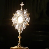 Przed Panem Jezusem w Najświętszym Sakramencie można będzie uklęknąć o każdej porze.