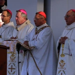 46. Piesza Pielgrzymka Wrocławska do grobu św. Jadwigi - cz. 8