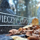 Znicz to nie wszystko 