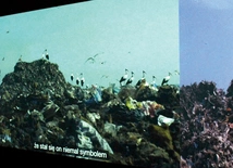 Fragment instalacji wideo „Bocian, święty ptak” Diany Lelonek.