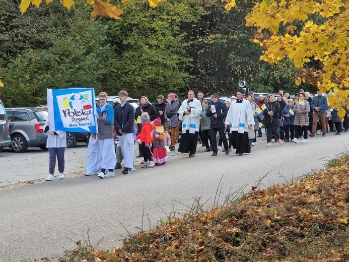 Marsz dla Życia i Rodziny w Muszynie