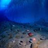 Ocean Południowy - delikatna tarcza dla klimatu