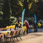 Piknik rodzinny FDNT w matemblewskim sanktuarium
