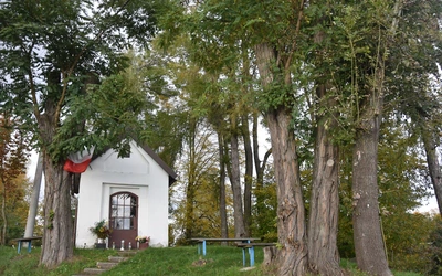 Wymodlone dziecko i cudowna kapliczka