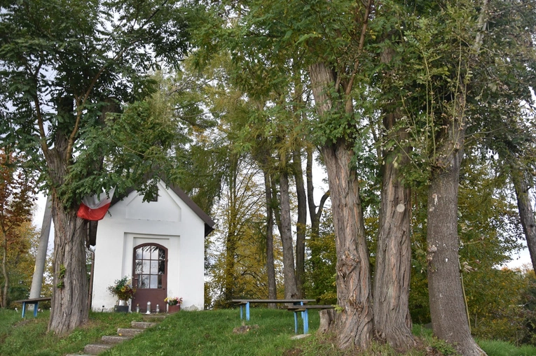 Wymodlone dziecko i cudowna kapliczka
