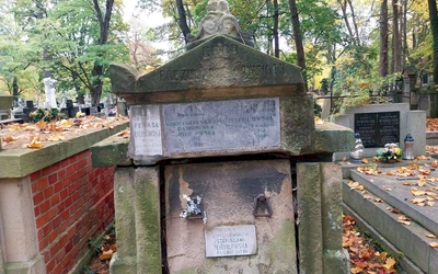 Może Rada Miasta zaradzi coś przeciwko postępującemu niszczeniu grobu dawnej zasłużonej krakowskiej radnej?