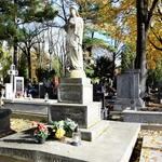 Między lipami i ciszą. Historia lubelskiego Panteonu