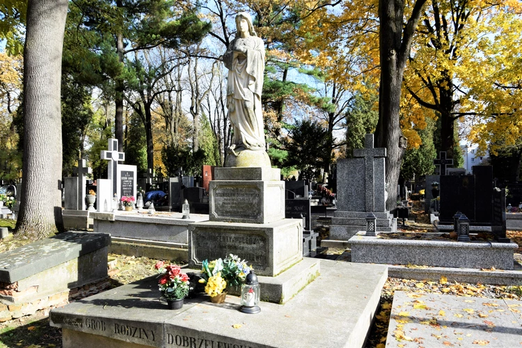 Między lipami i ciszą. Historia lubelskiego Panteonu