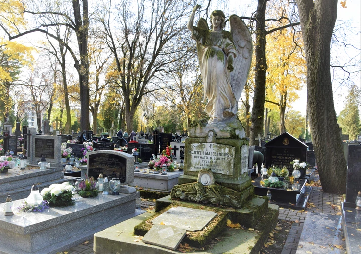 Między lipami i ciszą. Historia lubelskiego Panteonu