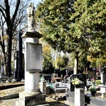 Między lipami i ciszą. Historia lubelskiego Panteonu