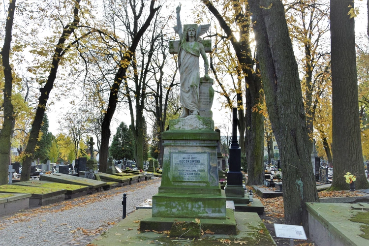 Między lipami i ciszą. Historia lubelskiego Panteonu