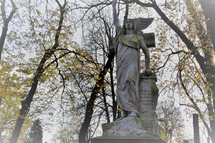 Między lipami i ciszą. Historia lubelskiego Panteonu