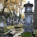 Między lipami i ciszą. Historia lubelskiego Panteonu