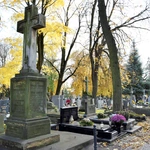 Między lipami i ciszą. Historia lubelskiego Panteonu