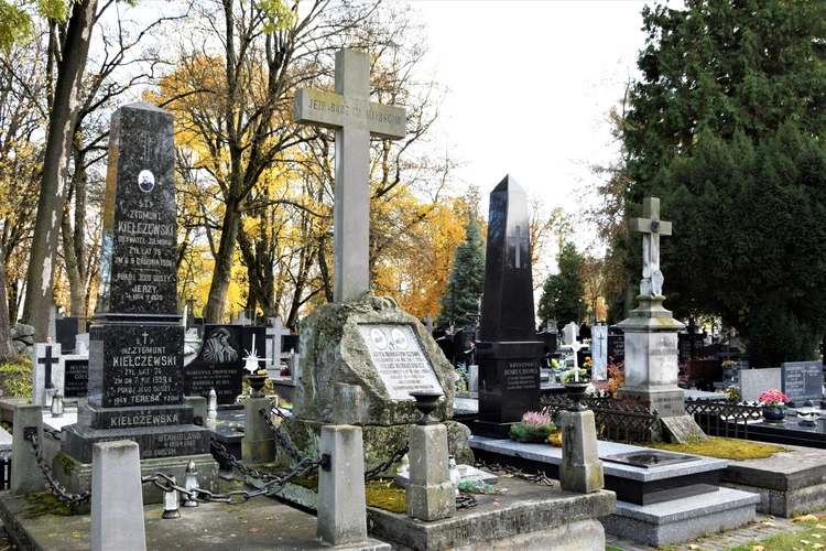 Między lipami i ciszą. Historia lubelskiego Panteonu