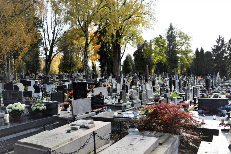 Między lipami i ciszą. Historia lubelskiego Panteonu