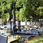 Między lipami i ciszą. Historia lubelskiego Panteonu