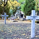 Między lipami i ciszą. Historia lubelskiego Panteonu