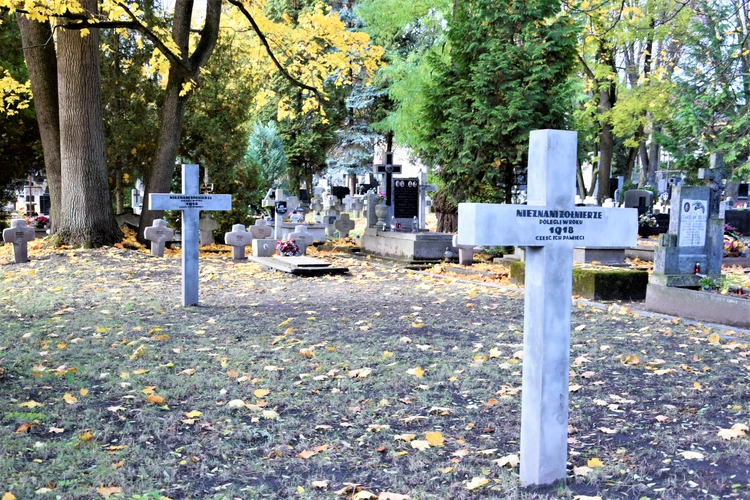 Między lipami i ciszą. Historia lubelskiego Panteonu