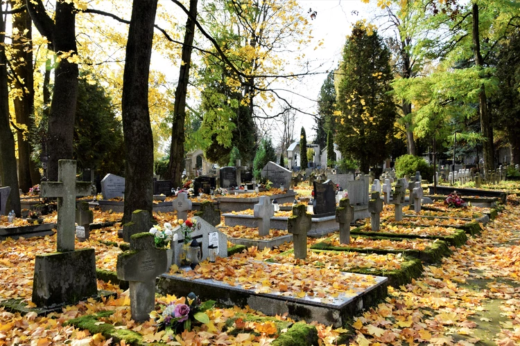 Między lipami i ciszą. Historia lubelskiego Panteonu